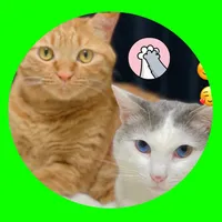 original sound - .cats.in.japan