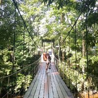 original sound - Syamimi AD