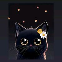 user70591887