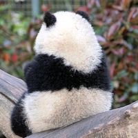 오리지널 사운드 - 다민