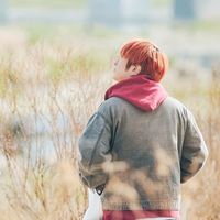 ナニコレ珍百景音源