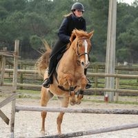 equi_nala