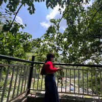 mstamangni08