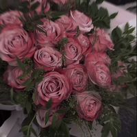 thay_yem