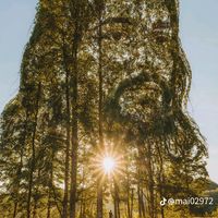 original sound - Imkenni