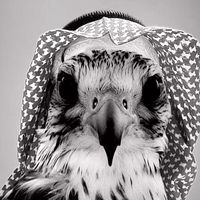 qaym2395