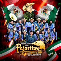 sonido original - 🦅LOS PAJARITOS DE TACUPA 🦅