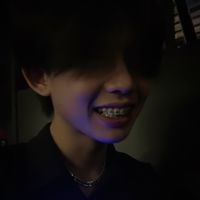 sursx3d1_