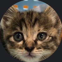 オリジナル楽曲 - 😼4代目 kenken
