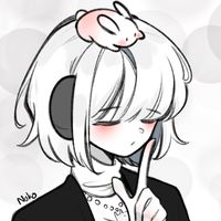 thatskynoko