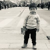 alexander_2500