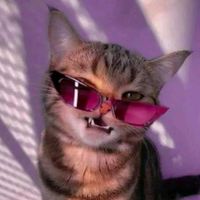 suara asli - PAKADEHUSTORY📍