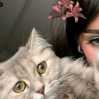 mimi78619