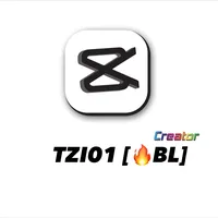 original sound - t.zi789