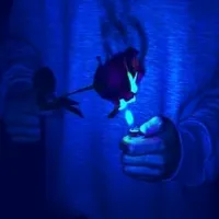 original sound - undersync