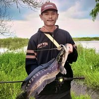 abxfishing