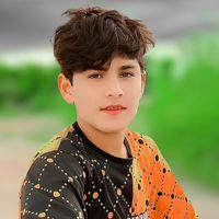 chotasafdar1