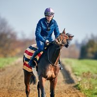 rosieandthelifeofbean