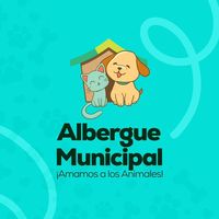 alberguemascotasmixco