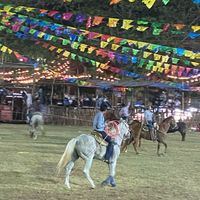 adolfo_397