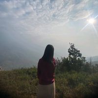 yangden888