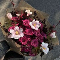 lannhi.21