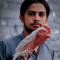 aseel.lovers.3020