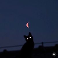 オリジナル楽曲 - らゆ