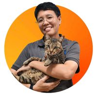 เสียงต้นฉบับ - MaRch☆PoR☆