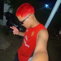 artigassx.ss