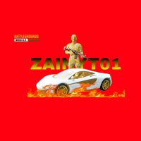 zainyt011