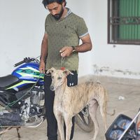 tibba.tarapur.club