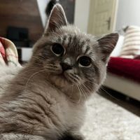 usernameyagmur_