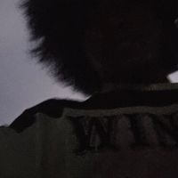 xettriamrit30
