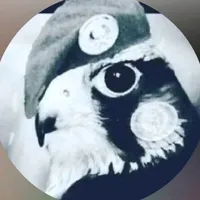 original sound - 17491__919