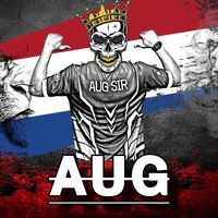 augsir_pubgm1