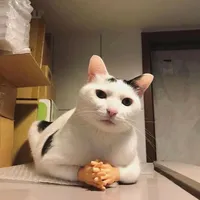 original sound - cegil.sedunia