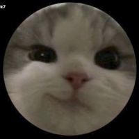 clipseradedogu