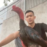 nhạc nền - Thức tỉnh và giác ngộ 86