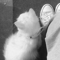 babypuix