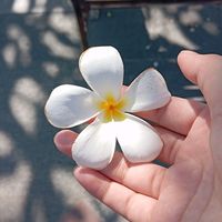เสียงต้นฉบับ - simber.