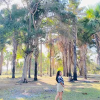 original sound - dejecal1192