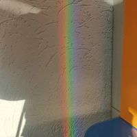 lucynda_decker200