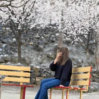 original sound - travelwithzoha.pk