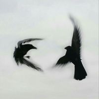 оригинальный звук