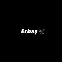 orijinal ses