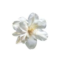 เพลงรัก จากฉัน