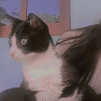 noemi_merida30