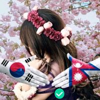 dream.korea114