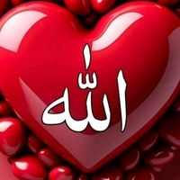 user787222235